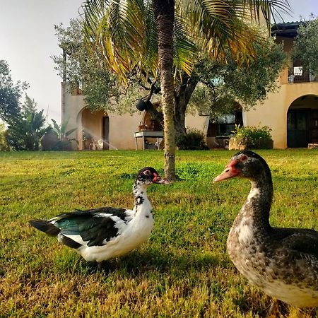 La Finestra Sul Limone Bed & Breakfast Castelvetrano Luaran gambar