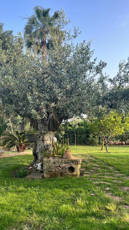 La Finestra Sul Limone Bed & Breakfast Castelvetrano Luaran gambar