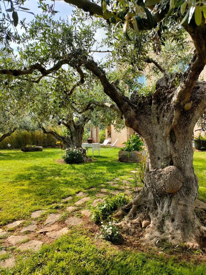 La Finestra Sul Limone Bed & Breakfast Castelvetrano Luaran gambar