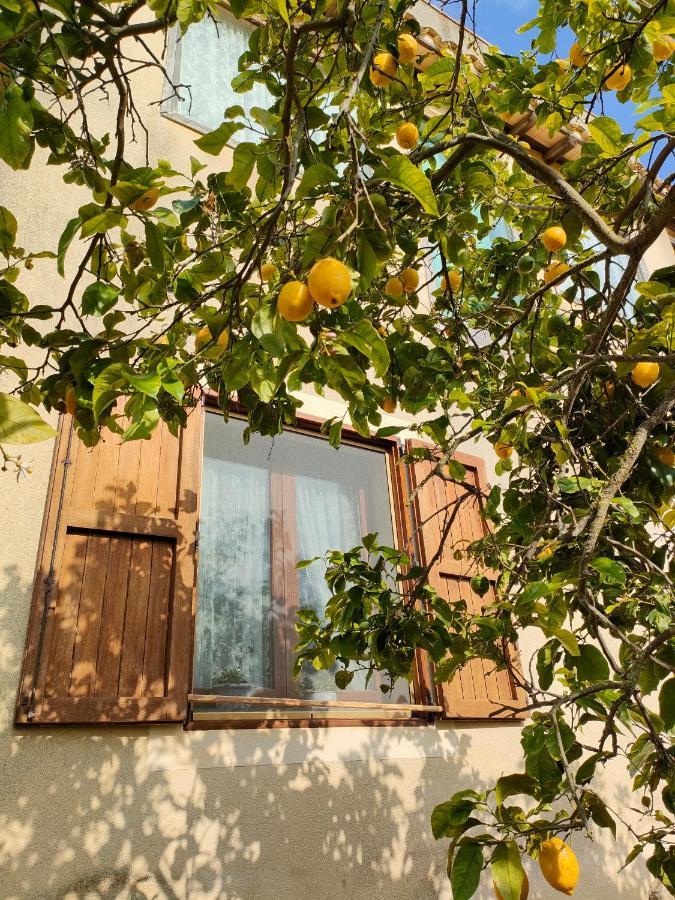 La Finestra Sul Limone Bed & Breakfast Castelvetrano Luaran gambar