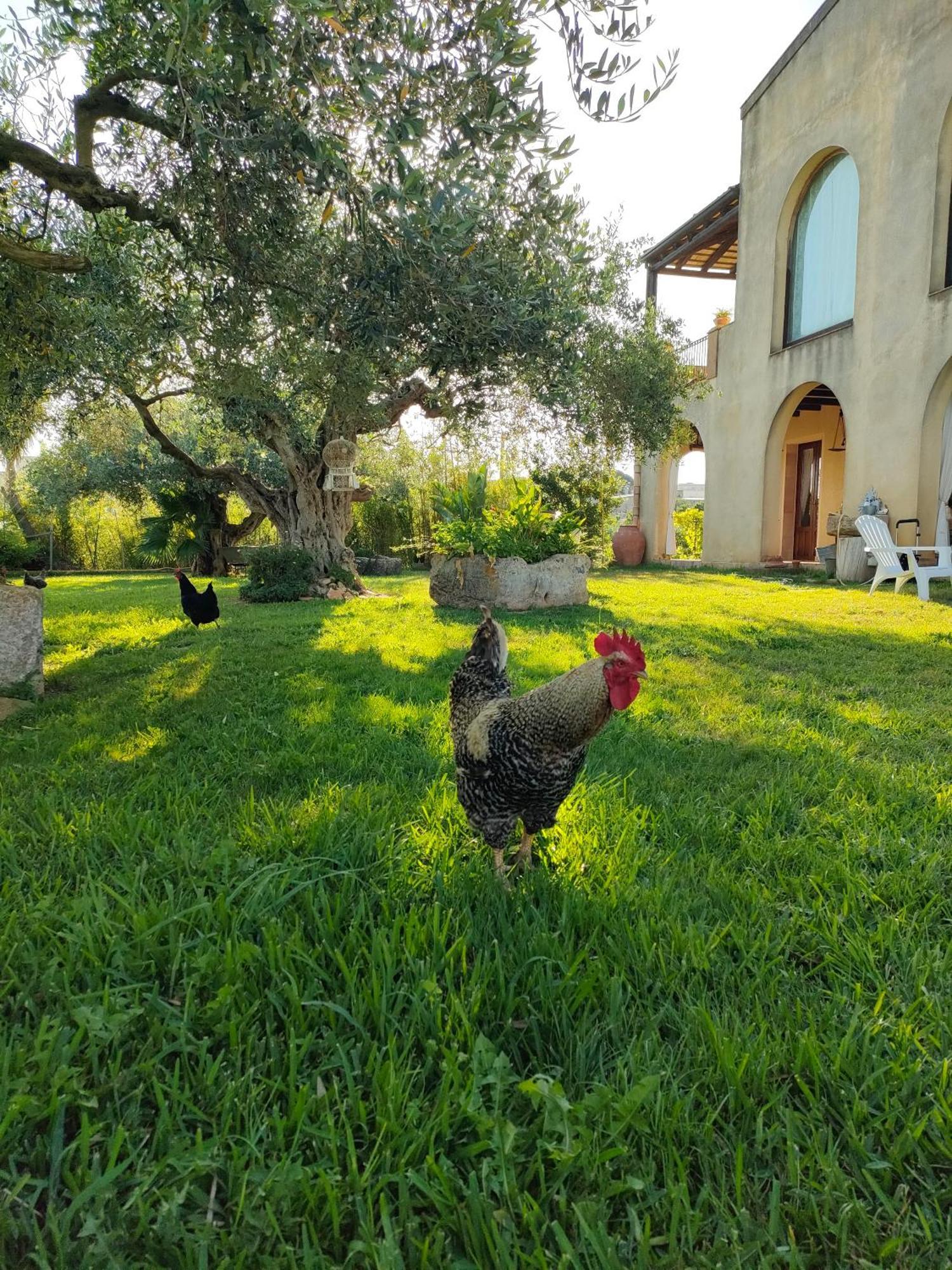 La Finestra Sul Limone Bed & Breakfast Castelvetrano Luaran gambar