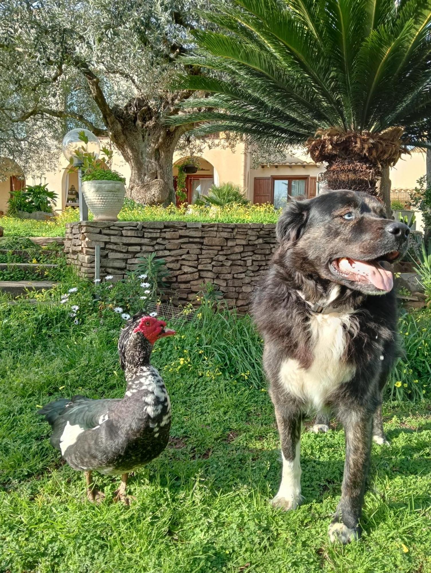 La Finestra Sul Limone Bed & Breakfast Castelvetrano Luaran gambar